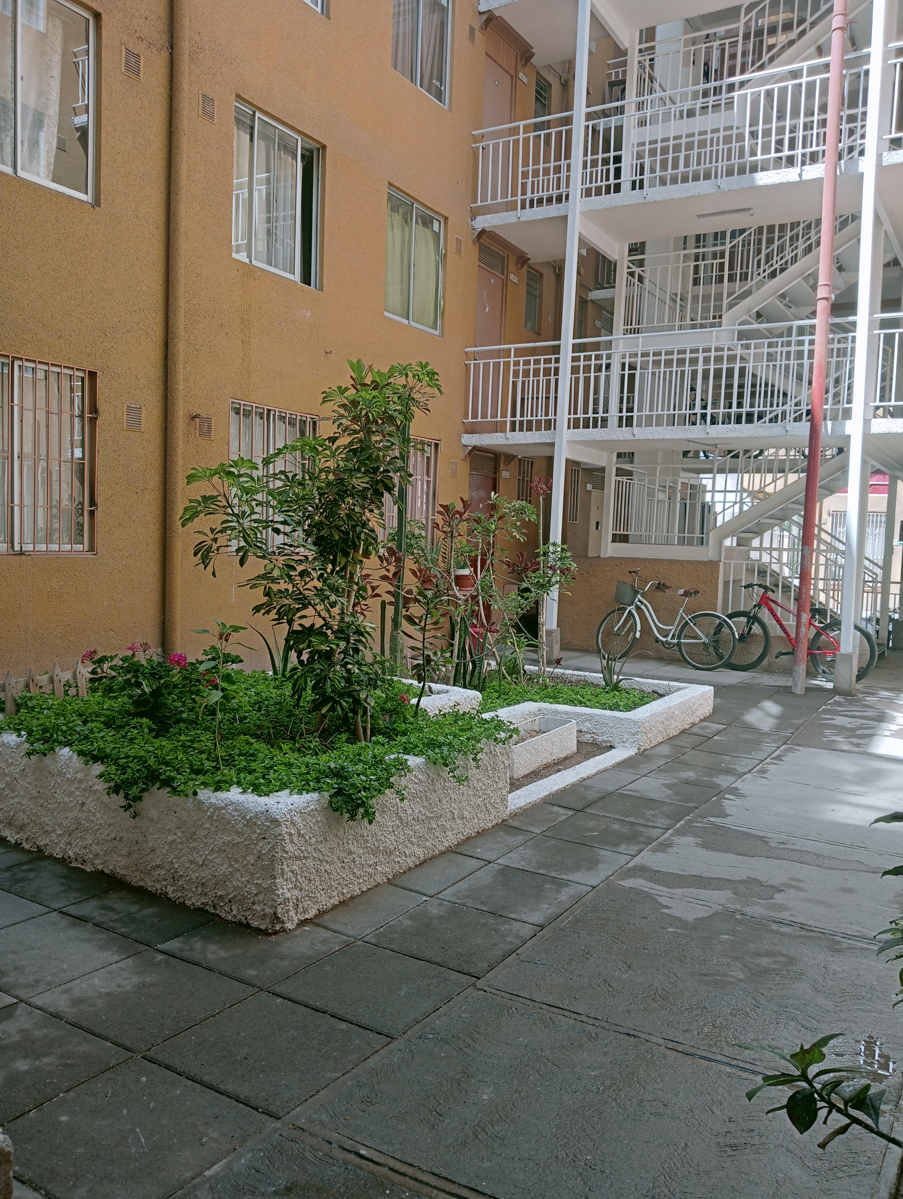 Imagen 2
